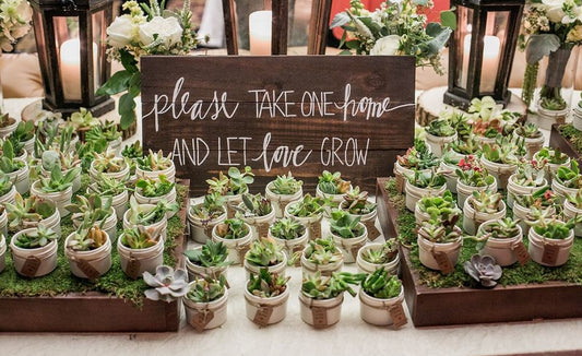 Green Love: How to Easily Make Your Wedding Eco-Friendly